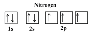Orbital Diagram For Nitrogen