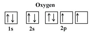 Oxygen Valence Electron Configuration